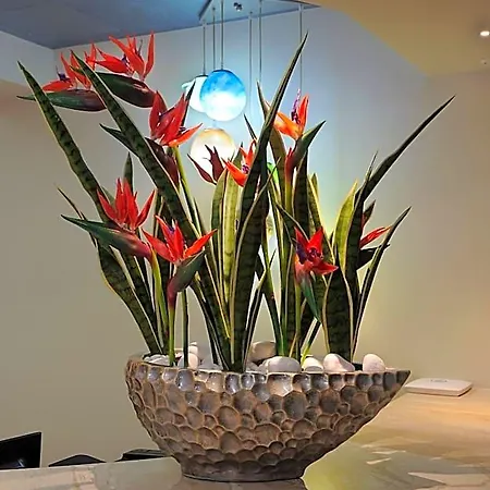 Nelia Gardens Szálloda 4*
