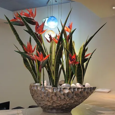Отель Nelia Gardens 4*