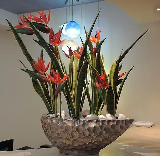 Otel Nelia Gardens 4*